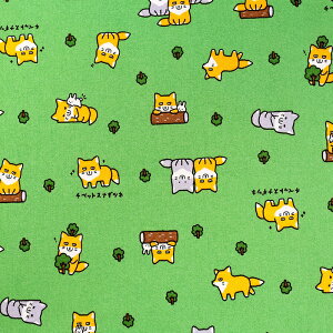 gAj}[h `xbgXiMcl V[`O 50cmP | ؔ ؂蔄 n z zn Rbg100    Aj}   n  w ObY V