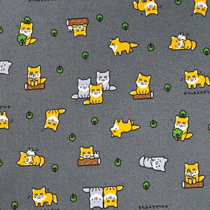 gAj}[h `xbgXiMcl V[`O 50cmP | ؔ ؂蔄 n z zn Rbg100    Aj}   n  w ObY V