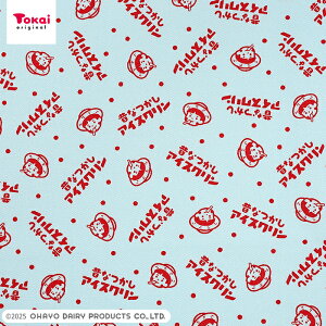 ACXN S IbNX 1m JbgNX | n z zn ͂ Jbgz Rbg100 ƃR{V[Y OHAYO LN^[ ag  ʒn v ̂ȂACXN AC