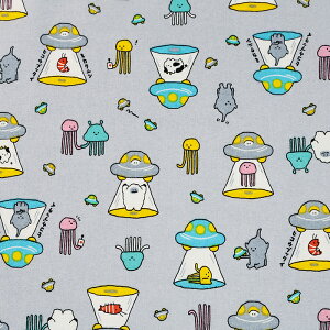 g~Xe[ UFO V[`O 50cm JbgNX | n z zn ͂ Jbgz  n Rbg100 R~J 킢 邩 Ñ j UFO UMA Fl j ΐl ^R^Fl O