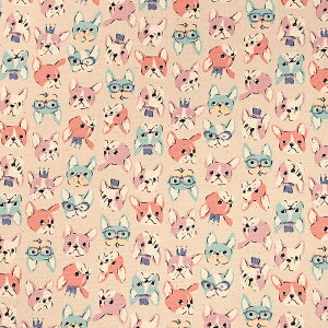 уv t`u IbNX 50cm JbgNX | n z zn ͂ Jbgz Rbg100 킢   tu  hbO ʒn v   Ck  R 