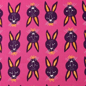 Aj}rbg IbNX 50cm JbgNX | n z zn ͂ Jbgz Rbg100 ؍eCXg ؍ Aj Jt 킢 j[N ʒn v  ETM rbg 