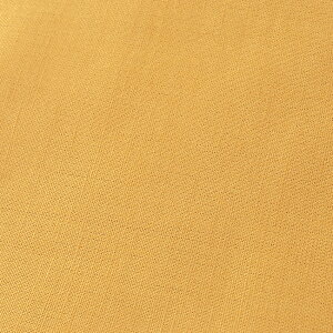 [ n 50cmPʁbؔ ؂蔄 n z zn l n [ n ݃J[ jAXJ[ n ߗ m i  Vc XJ[g pc