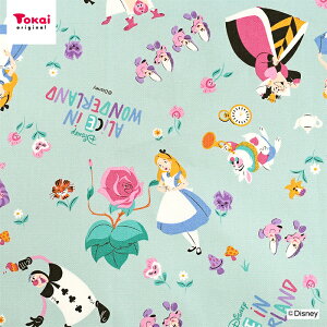 fBYj[ ӂ̍̃AX IbNX 50cmP | ؔ ؂蔄 n z zn Rbg100 Disney LN^[ svc̍̃AX 킢 ʒn v  w Vw ObY 