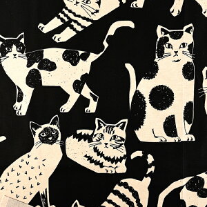 echino NekoNoe CATCAT ȖLoX 50cmP | ؔ ؂蔄 n z zn Rbgl G`m 킢  ÉƉxq 傫ȔL ʒn v ˂ lR L Lbg I 啿 mg