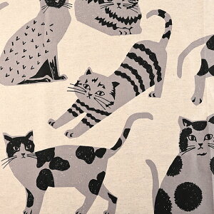 echino NekoNoe CATCAT �Ȗ��L�����o�X 50cm�P�� | �ؔ��� �؂蔄�� ���n �z �z�n �R�b�g�����l�� �G�`�m ���킢�� ������� �ÉƉx�q �傫�ȔL ���ʒn ��v �˂� �l�R �L �L���b�g ���I �啿 ���m�g