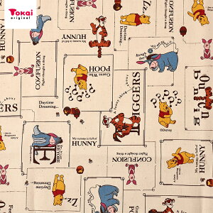 fBYj[ v[ Funny Faces IbNX 50cmP | ؔ ؂蔄 n z zn Rbg100 Disney fBYj[ LN^[ ܂̃v[ 킢 ʒn v  w Vw ʉ 