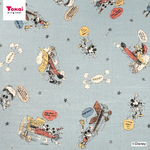 fBYj[ ~bL[ lCNXu 50cmP | ؔ ؂蔄 n z zn Rbg100 i` ~bL[}EX ~j[}EX Disney 킢  V g l