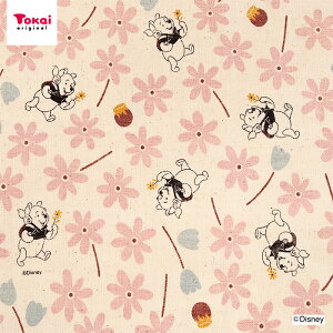 fBYj[ v[ t[ lCNXu 50cmP | ؔ ؂蔄 n z zn Rbg100 i` ܂̃v[ sObg 킢  V ԕ t