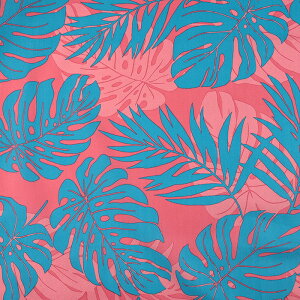 TCnCA Xe 50cmP | ؔ ؂蔄 n z zn ɂȂɂ D₷ nCA t_Xߑ ԕ t[ ȃ| ȃ|GXe |Rbg T/C TC 