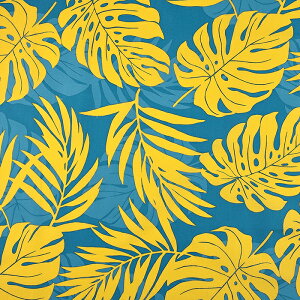 TCnCA Xe 50cmP | ؔ ؂蔄 n z zn ɂȂɂ D₷ nCA t_Xߑ ԕ t[ ȃ| ȃ|GXe |Rbg T/C TC 