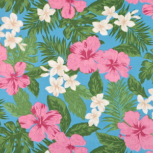 TCnCA nCrXJX 50cmP | ؔ ؂蔄 n z zn ɂȂɂ D₷ nCA t_Xߑ ԕ t[ ȃ| ȃ|GXe |Rbg T/C TC 