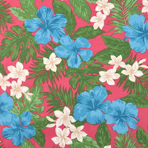 TCnCA nCrXJX 50cmP | ؔ ؂蔄 n z zn ɂȂɂ D₷ nCA t_Xߑ ԕ t[ ȃ| ȃ|GXe |Rbg T/C TC 