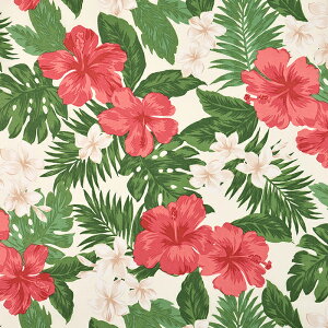 TCnCA nCrXJX 50cmP | ؔ ؂蔄 n z zn ɂȂɂ D₷ nCA t_Xߑ ԕ t[ ȃ| ȃ|GXe |Rbg T/C TC 