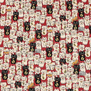 L ȖLoX 50cmP | ؔ ؂蔄 n z zn Rbgl ܂˂˂ ܂˂L L ˂ lR ɂ jR Lbg ʒn v j[N 킢  Rb