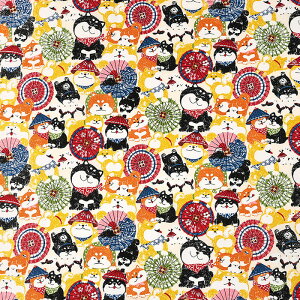 񂱂a ΂񂪂 XPA 50cmP | ؔ ؂蔄 n z zn Rbg100 Ck   hbO R XPA vg 킢  n a a a aeCXg N 