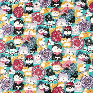 񂱂a ΂񂪂 XPA 50cmP | ؔ ؂蔄 n z zn Rbg100 Ck   hbO R XPA vg 킢  n a a a aeCXg N 