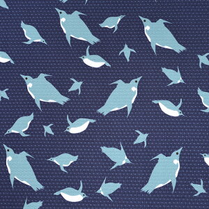 N[NX PbgyM 50cmP | ؔ ؂蔄 n z zn jbg ybg ΍ n GR TXeiu  T}[ ЂЂ Kđf  ₽ N[ ڐG⊴ C