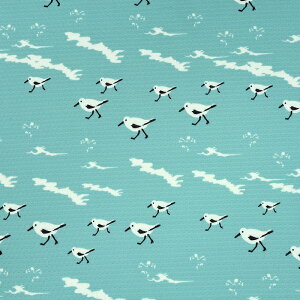 N[NX l璹 50cmP | ؔ ؂蔄 n z zn jbg ybg ΍ n GR TXeiu  T}[ ЂЂ Kđf  ₽ N[ ₩ ڐG⊴ `