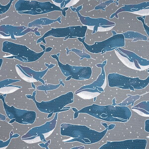 N[NX NW 50cmP | ؔ ؂蔄 n z zn jbg ybg ΍ n GR TXeiu  T}[ ЂЂ Kđf  ₽ N[ ₩ ڐG⊴ 