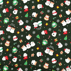 _20NՁ^ NX}Xvg V}GiK XPA 50cmP | ؔ ؂蔄 n z zn NX}X V}GiK Rbg100 fBXvC t  킢  n Xm[}