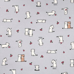 gAj}[h IRW V[`O 50cmP | ؔ ؂蔄 n z zn Rbg100  Aj} j[N 킢  w  n TN{  `F