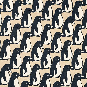 ؂񂬂̍ IbNX 50cmP | ؔ ؂蔄 n z zn Rbg100  Aj}    w Vw ʉ ʊw ʒn v yM yM̌Q 킢 