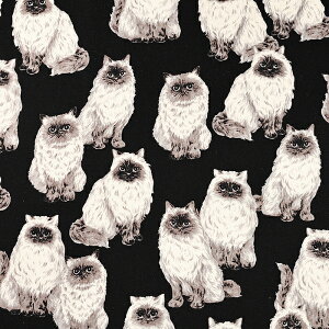 q} IbNX 50cmP | ؔ ؂蔄 n z zn Rbg100 킢  Aj} i L ʒn v ˂ L lR ɂ jR Lbg