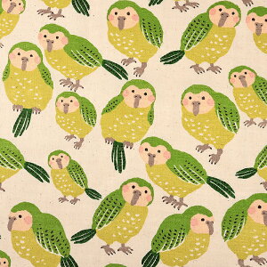 lCNXu JJ| 50cmP | ؔ ؂蔄 n z zn lCN   V i` Rbg100  Aj} 킢  o[h j[N