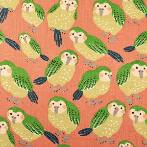 lCNXu JJ| 50cmP | ؔ ؂蔄 n z zn lCN   V i` Rbg100  Aj} 킢  o[h j[N