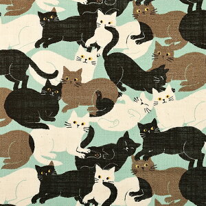 lCNXu SɂJ[jo 50cmP | ؔ ؂蔄 n z zn lCN   V i` Rbg100 킢  Aj} L ˂ lR 