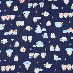 ӂӂAj} yM V[`O 50cmP | ؔ ؂蔄 n z zn Rbg100 ؂񂬂   Aj} 킢  n  w Vw ʉ ʊw ObY j