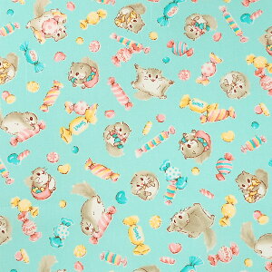 G{Aj} KƃLfB V[`O 50cmP | ؔ ؂蔄 n z zn Rbg100  XC[c َq   킢  n  w ʉ ʊw Vw O