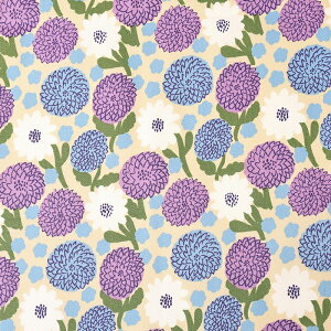 kippis Daalia _A IbNX 50cm JbgNX | n z zn ͂ Jbgz LbsX 킢 t[ Jt ؂₩ k tBh ʒn v keCXg k  