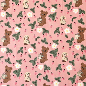 kippis Xɂł IbNX 50cm JbgNX | n z zn ͂ Jbgz LbsX 킢 F N} xA ETM ʎ k tBh ʒn v keCXg k  