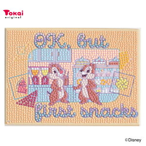 r[YPUSHI _ChtBbNX Disney 2L ~bL[E~j[E`bvf[ 12.7×17.8cm | _ChtBbNX r[YLoXA[g \t hイ Disney CeA _C