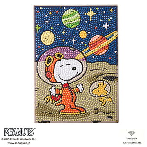 r[YPUSHI _ChtBbNX Xk[s[ 2L | _ChtBbNX r[YLoXA[g \t hイ Xk[s[ CeA _Ch A[g