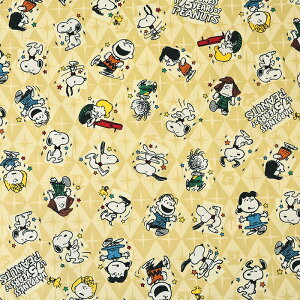 s[ibc Xk[s[ _VO IbNX 50cmP | ؔ ؂蔄 n z zn Rbg100 LN^[ Snoopy 75N PEANUTS Ajo[T[ }K R~bN  w Vw ObY 