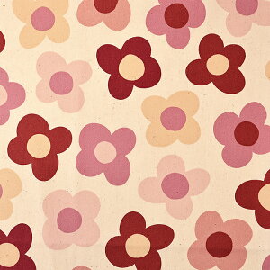 Retro Charm Ԃт IbNX 50cmP | ؔ ؂蔄 n z zn ԕ t[ 킢 Vw ʉ ʊw ObY keCXg  啿 Rbg100 k a g  