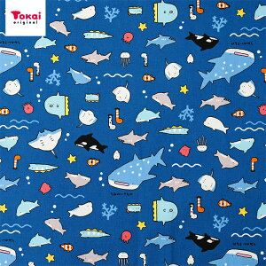 ݂̂ IbNX 50cmP | ؔ ؂蔄 n z zn Rbg100 C̐  }   ObY Vw  w ʉ ʊw ̎q j̎q 킢  