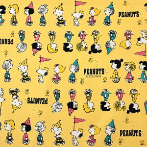 s[ibc Xk[s[ p[h IbNX 50cmP | ؔ ؂蔄 n z zn Rbg100 EbhXgbN `[[uE SNOOPY LN^[  w Vw ʉ ʊw ObY 