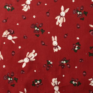 NVJ_ rbgXgx[ ׃R[ 50cmPʁbؔ ؂蔄 n z zn Rbg100 ETM   {  n  n H~ R[fC R[V H~ 