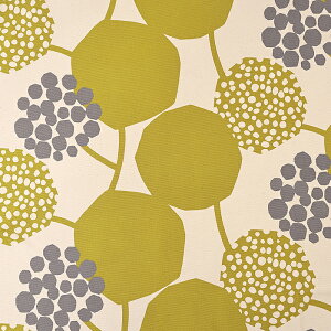 echino CROP 9.5z 50cmP | ؔ ؂蔄 n z zn G`m Rbg100  啿 n v  傫 ͂ A ԕ ÉƉxq  fUCi[ k