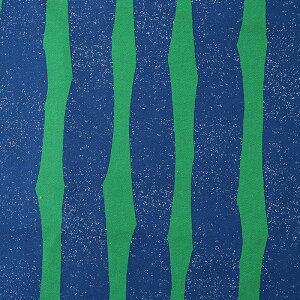 echino SWAY 9.5z 50cmP | ؔ ؂蔄 n z zn G`m Rbg100  啿 n v  {[_[ ͂ Ȗ͗l ` ÉƉxq  fUCi[ k