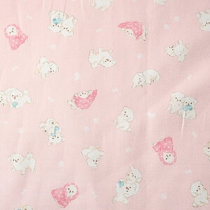 ӂӂAj}  V[`O 50cmP | ؔ ؂蔄 n z zn Rbg100  Ck  񂿂  hbO  Aj}  n  w Vw ʉ 