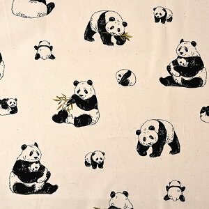 _20NՁ^ p_ IbNX 50cmP | ؔ ؂蔄 n z zn p_ Rbg100 ς  Aj} 킢 lC ʒn v  w Vw ʉ ʊw ObY j