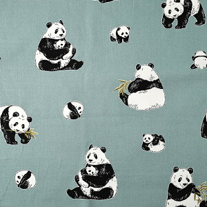 _20NՁ^ p_ IbNX 50cmP | ؔ ؂蔄 n z zn p_ Rbg100 ς  Aj} 킢 lC ʒn v  w Vw ʉ ʊw ObY j