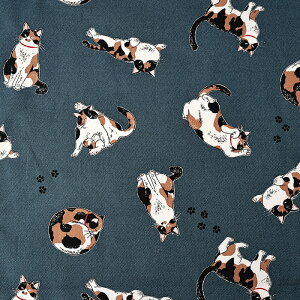 _20NՁ^ ˂ IbNX 50cmP | ؔ ؂蔄 n z zn Rbg100 L lR Lbg jR ɂ ݂˂  Aj} 킢 ʒn v  w Vw