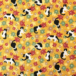 _20NՁ^ n`Q ݂ V[`O 50cmP | ؔ ؂蔄 n z zn Rbg100 ˂ L lR jR ɂ ͂L gt H   n  Aj}