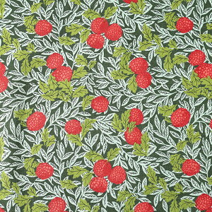 x[ V[`O 50cmP | ؔ ؂蔄 n z zn Rbg100 ؂    C`S Yx[ t{[Y  n t [t A {^jJ 